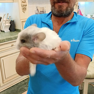 Сергей