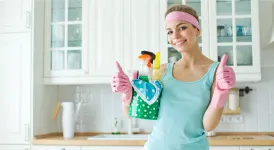 Домработницы